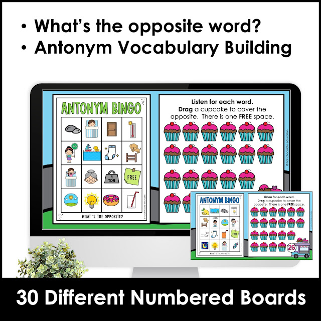 Antonym Vocabulary Building Boom Cards